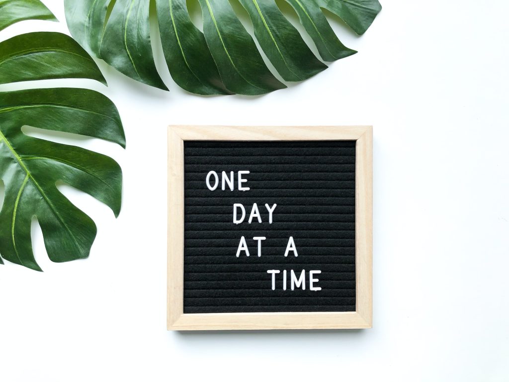 ONE DAY AT A TIME on a letter board with green tropical leaves on a white background